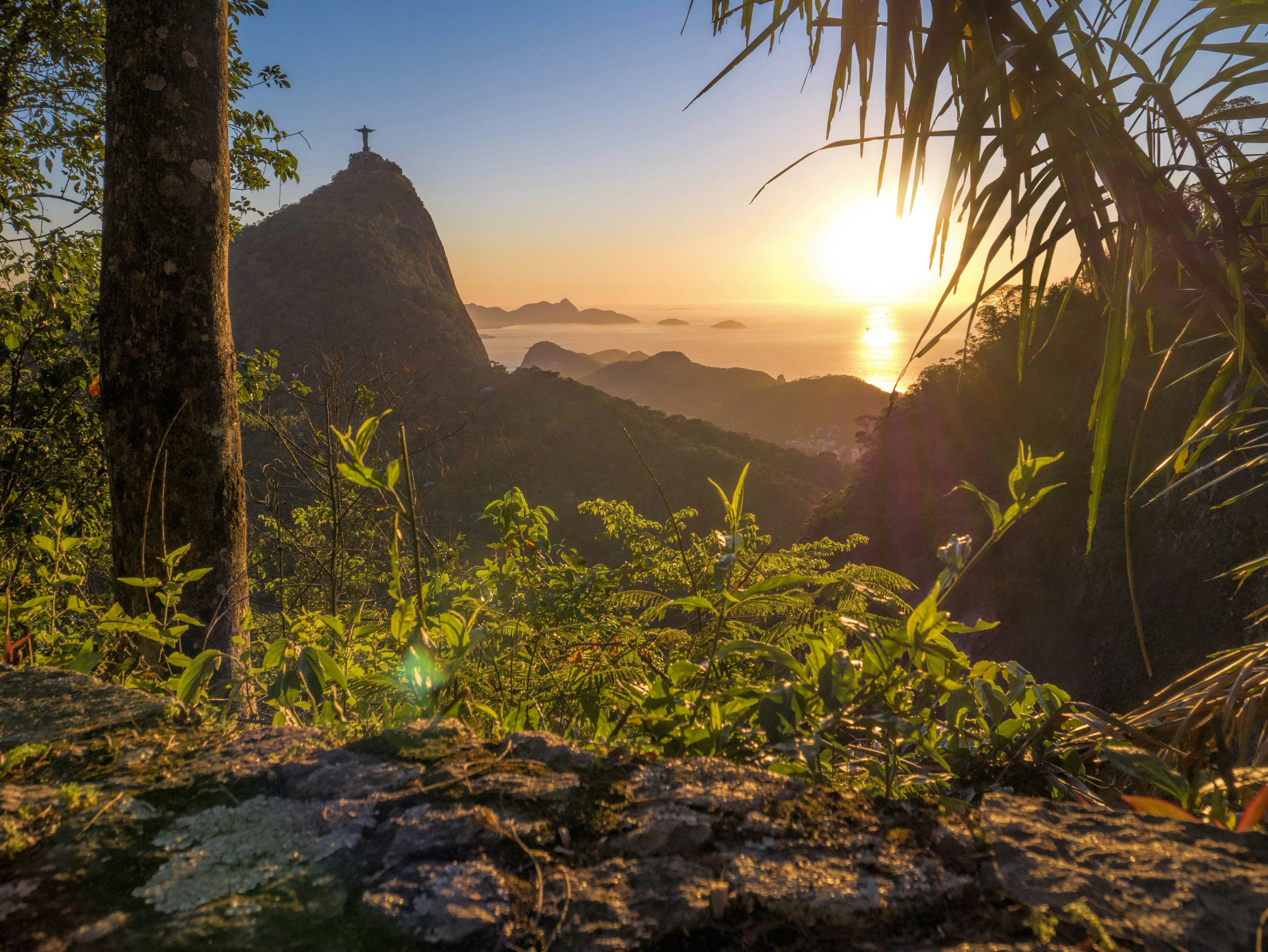 Tijuca Forest